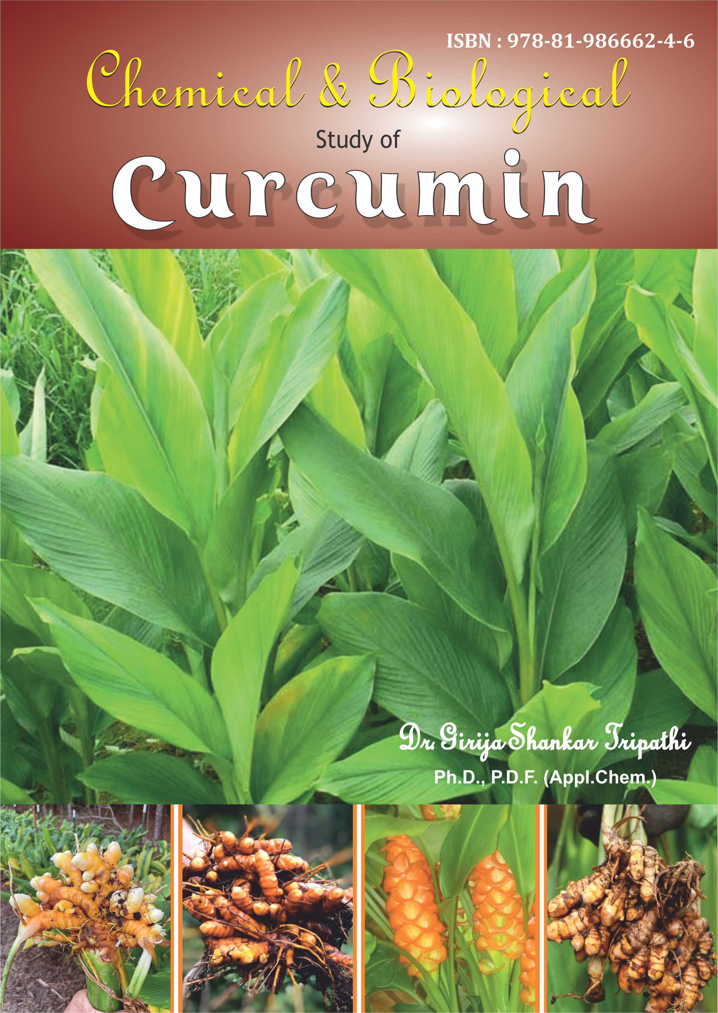 Chemical and Biological Study of Curcumin