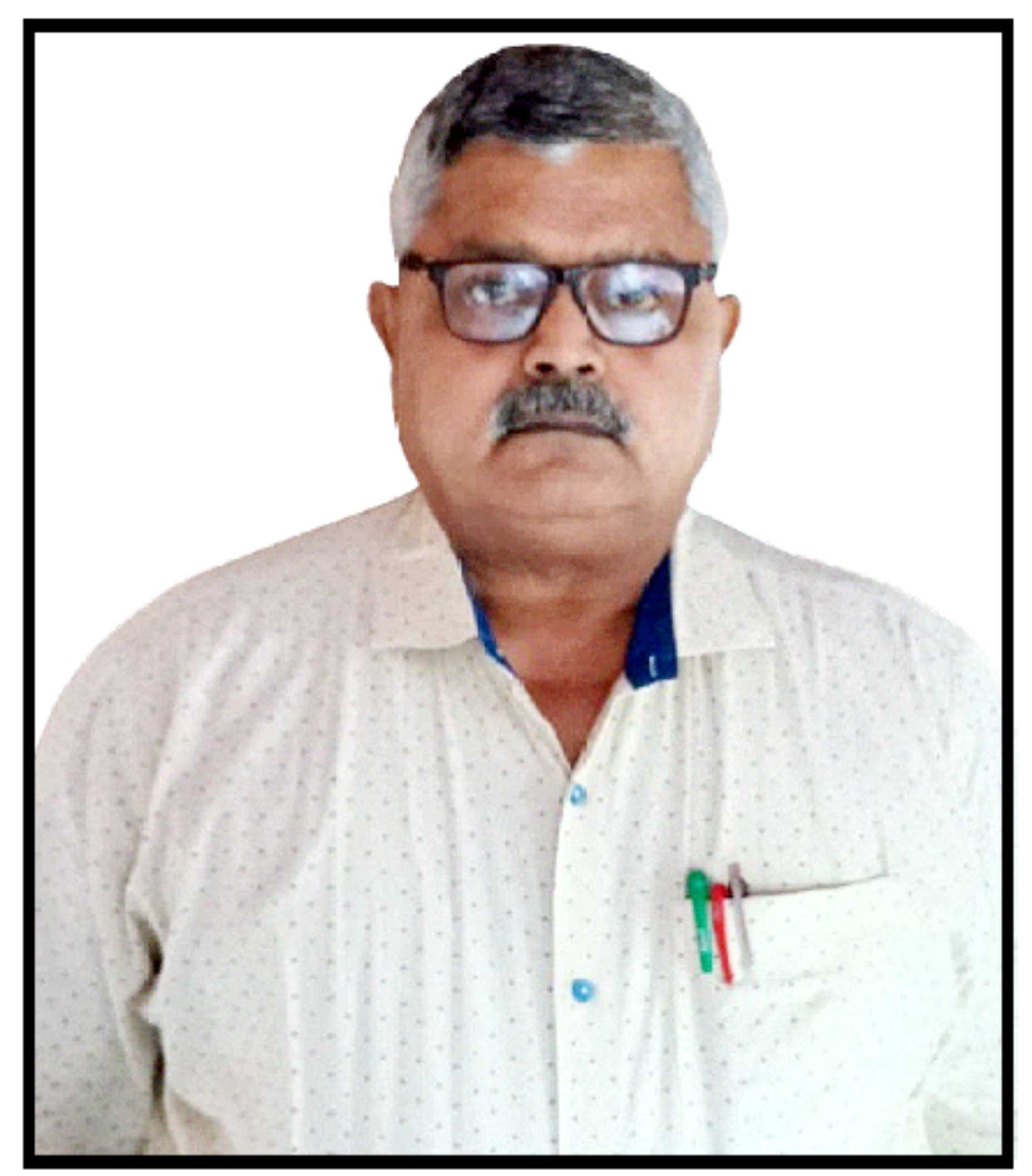 Chemical Composition of Portulaca quadrifida and Its Applications in Traditional Medical Sector as Well as in Kitchen as Tasty Vegetables Cooking: A Brief Study 