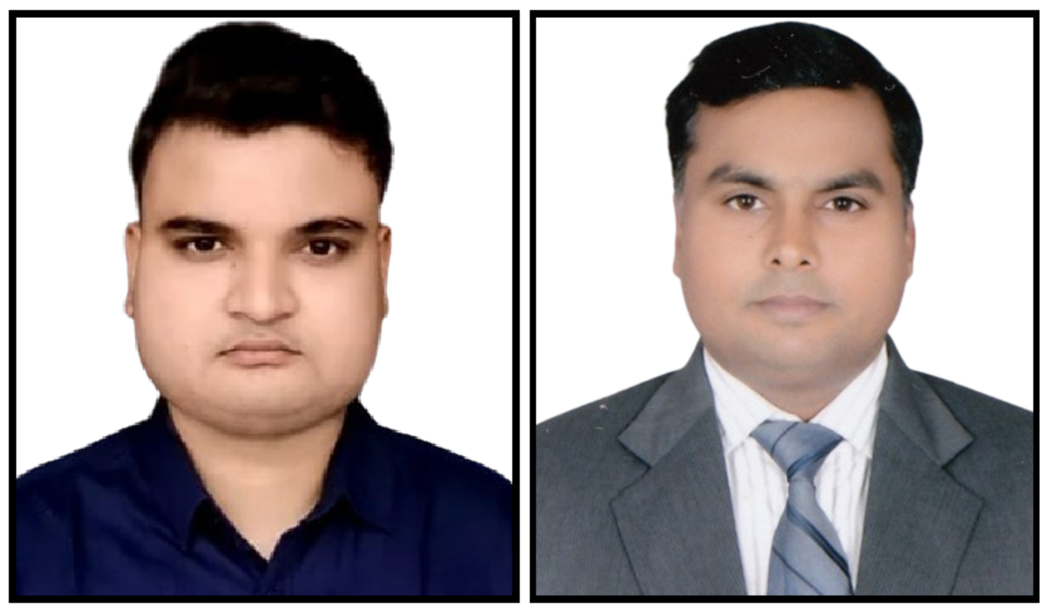 Cultural Festivals as Catalysts for Social Harmony in Diverse Societies